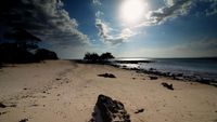 NTT yang Tak Hanya Cantik