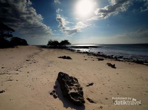 NTT yang Tak Hanya Cantik
