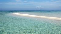On The Spot di Pulau Gosong