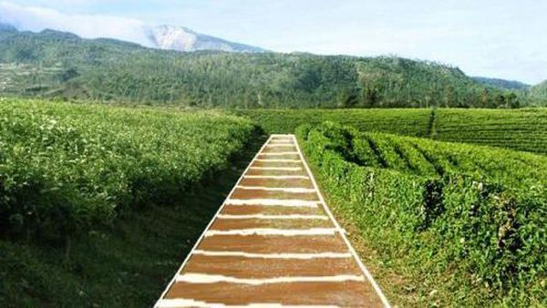 Orang Jakarta ke Puncak, Orang Makassar ke Malino