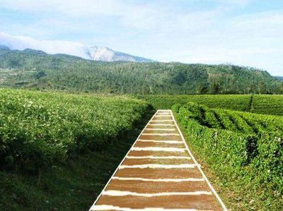 Orang Jakarta ke Puncak, Orang Makassar ke Malino
