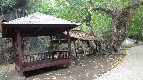 Paket Lengkap! Pantai, Air Terjun, dan Goa Ada di Trenggalek