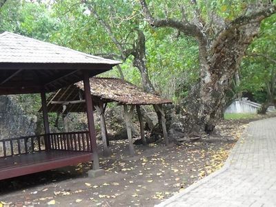 Paket Lengkap! Pantai, Air Terjun, dan Goa Ada di Trenggalek