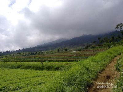 Penat di Kota? Yuk Kabur Ke Gunung Gede