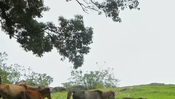 Percayalah, Ini Potret Alam Timor Tengah Selatan