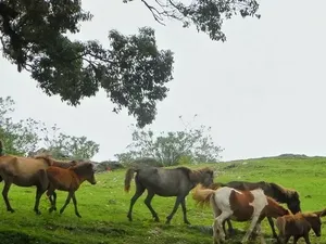 Percayalah, Ini Potret Alam Timor Tengah Selatan