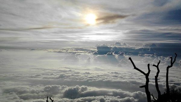 Perjuangan Mendaki Gunung Slamet