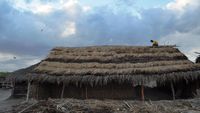 Petani Garam di Pesisir Sumba Timur