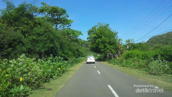 Plesir ke Pantai Tropical di Pulau Sumbawa, Ada Punuk Untanya!