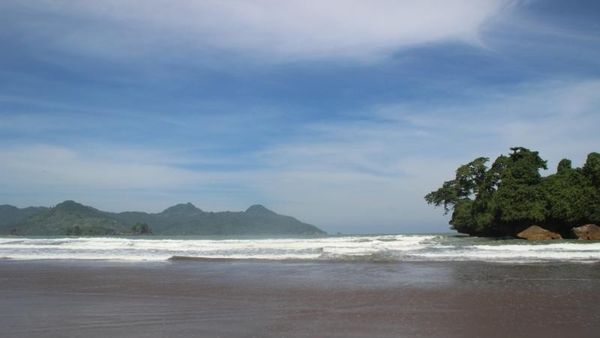 Pohon Pinus, Air Terjun & Pantai Pelang