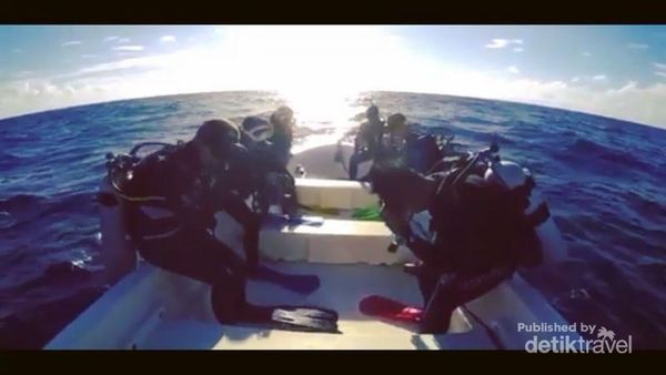 Potret Bawah Laut Banda yang Indah Nian