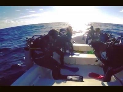 Potret Bawah Laut Banda yang Indah Nian