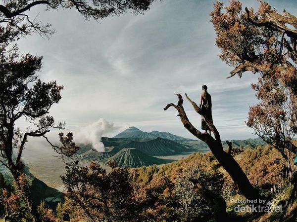 Potret Keindahan Bromo