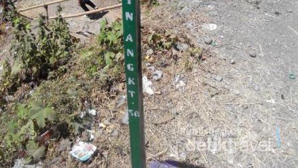 Potret Pegunungan Karst Terbesar di Indonesia