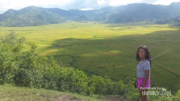 Potret Sawah Berbentuk Jaring Laba-laba di Flores