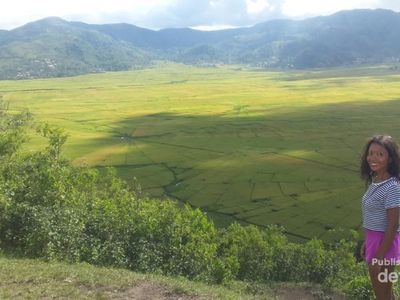 Potret Sawah Berbentuk Jaring Laba-laba di Flores