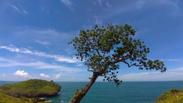 Potret Yogyakarta yang Bikin Rindu