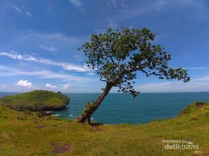 Potret Yogyakarta yang Bikin Rindu