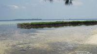 Pulau Pramuka, Snorkeling & Main dengan Hiu