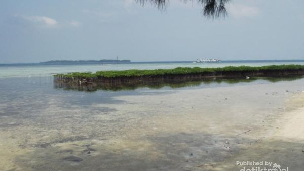 Pulau Pramuka, Snorkeling & Main dengan Hiu