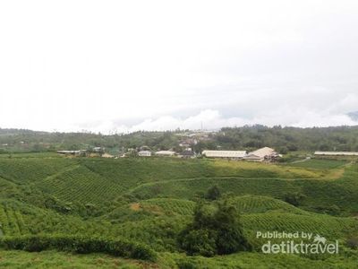 Puncak di Jawa Barat? Bukan, Ini Dekat Makassar