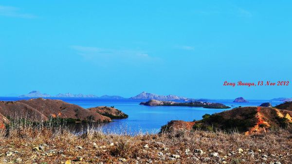Puncak Pulau Rinca, Tempat Terbaik Melihat Kecantikan Flores