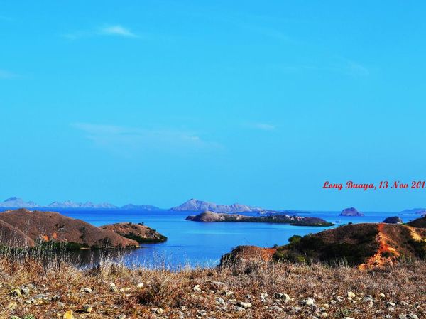 Puncak Pulau Rinca, Tempat Terbaik Melihat Kecantikan Flores