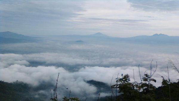 Puncak Suroloyo, Tempat Melihat Yogyakarta dari Atas Awan