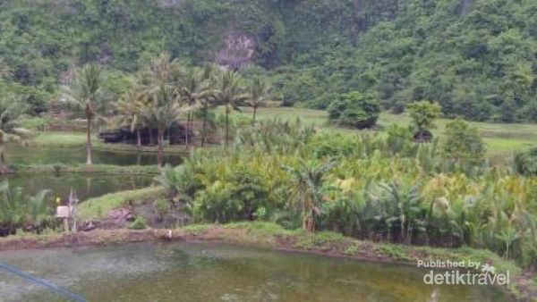 Rammang-rammang, Karst Spektakuler dari Sulawesi