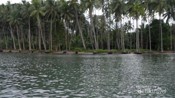 Rayuan Pulau Kelapa dari Maluku