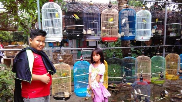 Sebelum Pesta Tahun Baru, Main Dulu ke Pasar Satwa Yogya