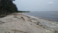 Sei Bakau, Laut Hitam dari Indonesia