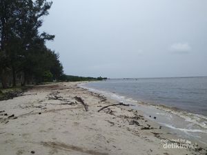 Sei Bakau, Laut Hitam dari Indonesia