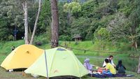 Sejenak Menyepi ke Bumi Perkemahan Mandalawangi
