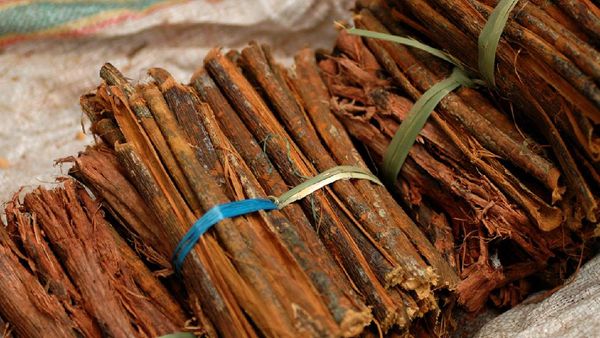 Selain Pemakaman Unik, Tana Toraja Juga Punya Sisi Beda