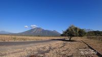 Selamat Datang di Baluran: Afrika Ala Jawa