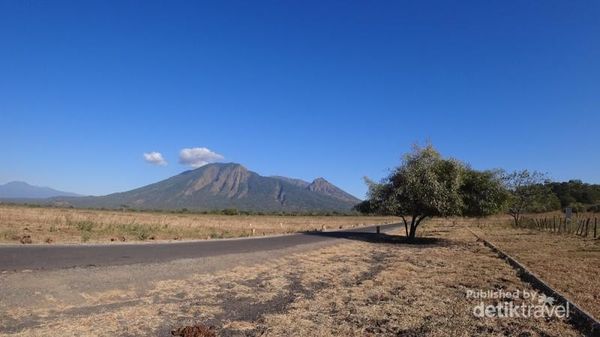 Selamat Datang di Baluran: Afrika Ala Jawa