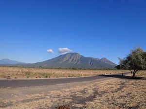 Selamat Datang di Baluran: Afrika Ala Jawa