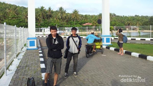 Senang-senang Bareng Hiu Karimunjawa