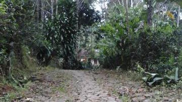 Sendang Geulis Kahuripan yang Cantik di Bandung