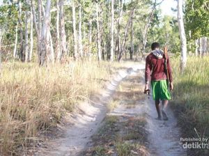 Sensasi Kemah dan Berburu di Tanah Datar, TN Wasur