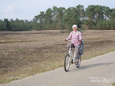 Sepeda di Taman Nasional Belanda Ini Disediakan Cuma-cuma