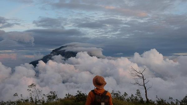 Seperti Apa Serunya Mendaki Sindoro Via Alang-alang Sewu?