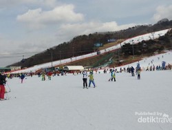 Serunya Bermain Ski di Vivaldi Park, Korea Selatan