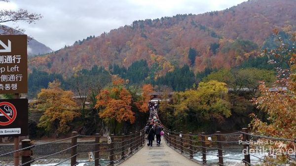 Shirakawago, Salah Satu Desa Cantik Rupawan dari Jepang