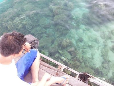 Snorkeling di Karimunjawa, Perfect!