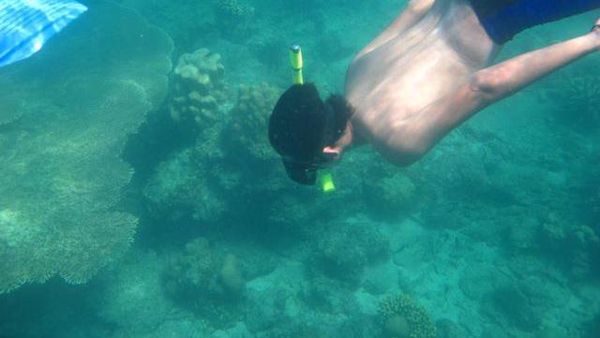 Snorkeling di Pulau Harapan