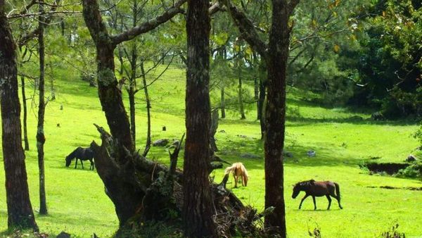 Soe, Kota Dingin di Indonesia