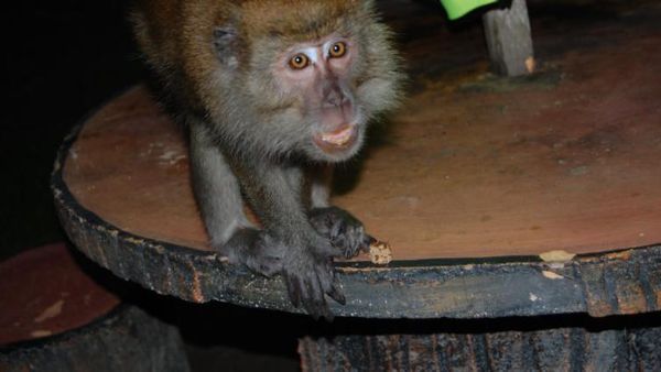 Suasana Pedesaan di Malaysia