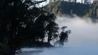 Sudah Lihat Kampung Warna-warni Pendaki di Ranu Kumbolo?